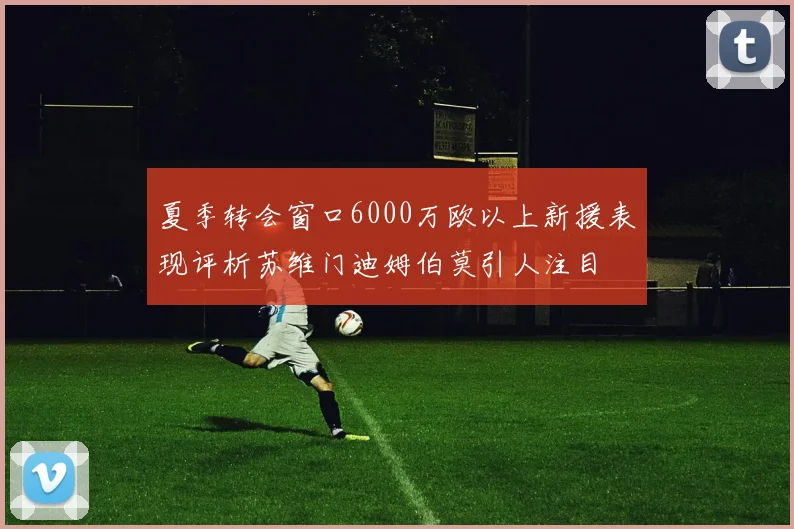 夏季转会窗口6000万欧以上新援表现评析苏维门迪姆伯莫引人注目